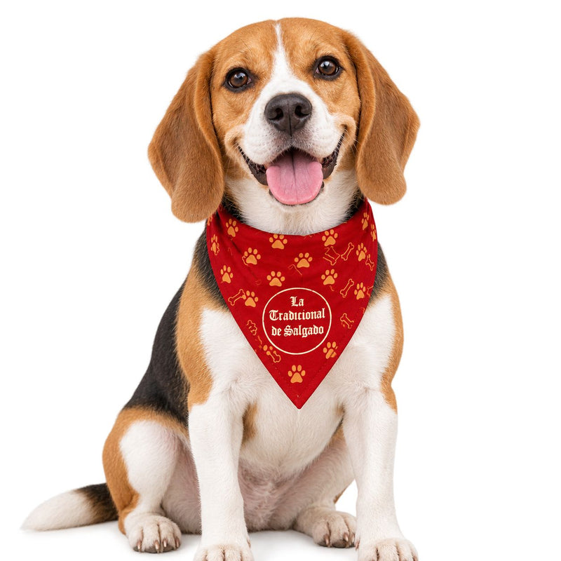 Pañoleta para perrito